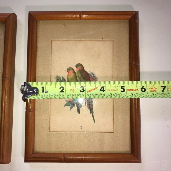 Sidney Z. Lucas New York City Framed Vintage Bird Prints - Picture 5 of 11